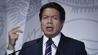 Afirma Mario Delgado que acatarán fallo sobre caso Salgado Macedonio