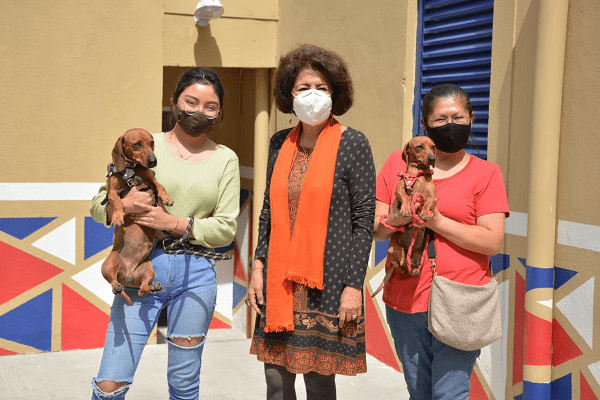 Tlalpan cuenta con nueva clínica veterinaria gratuita