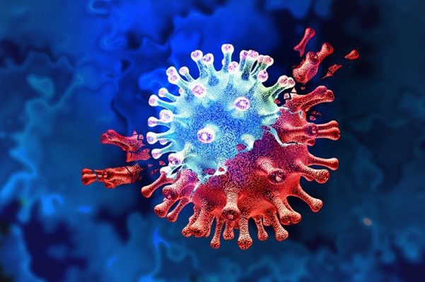 InDRE descarta existencia de "variante mexicana" de Covid-19