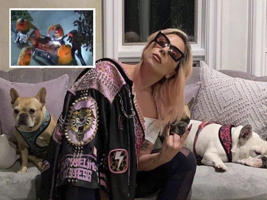 Lady Gaga recupera a sus perros tras ser robados en EUA