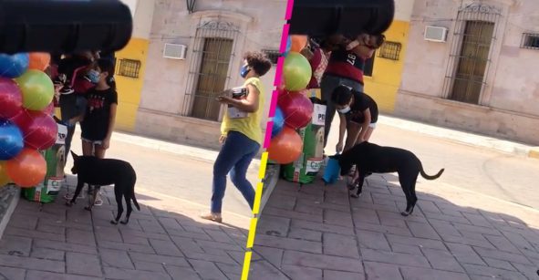 Niña “roba” unas cuantas croquetas y se las regala a perrito #VIDEO