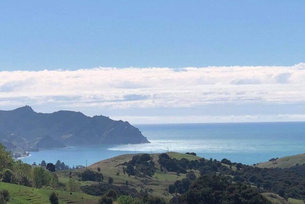 Alerta inminente inicio de tsunami en Nueva Zelanda #VIDEO