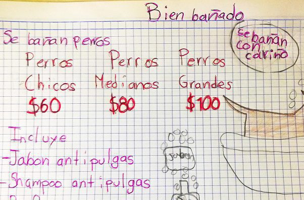 Niño de Monterrey enternece a la redes por negocio de "bañado" de perros