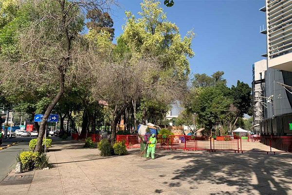 Retiran puestos de mariguana de las afueras del Senado