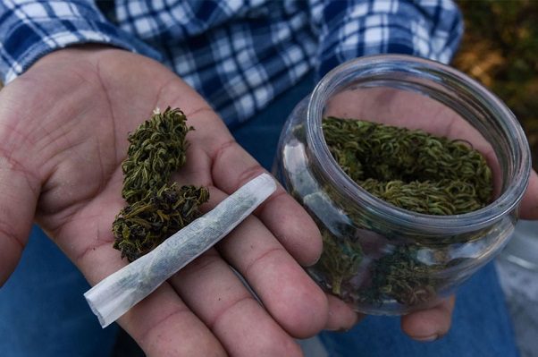 En comisiones, diputados debaten uso lúdico de la marihuana