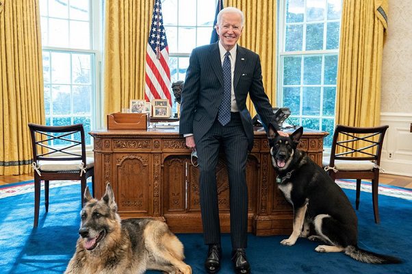 Por un "incidente de mordida", Champ y Major se van de la Casa Blanca