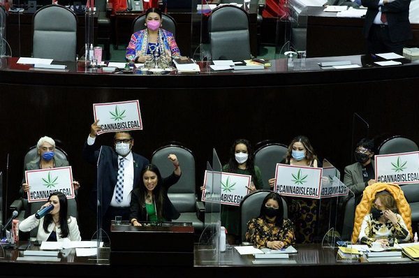 En lo general, diputados avalan uso lúdico de marihuana