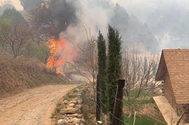 Incendio forestal en Santiago, Nuevo León, está controlado al 60%