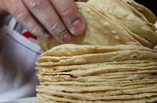 Aumento en precio de tortilla es por alza internacional del maíz: AMLO