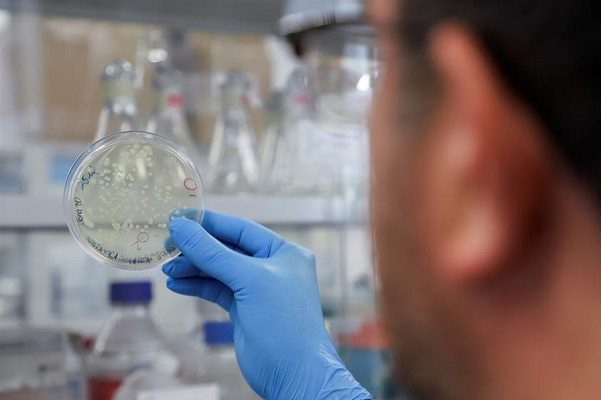 Detectan posible nueva mutación de Covid-19 en Bélgica