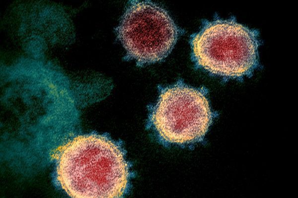 Encuentran nueva variante de Covid-19 en Francia; es más difícil de detectar|