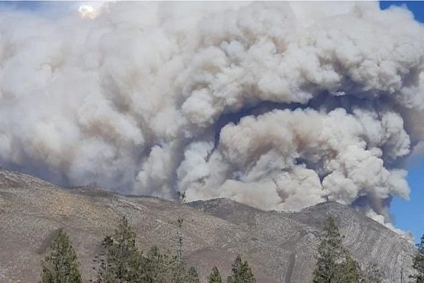 NL se declarará en "emergencia" por el enorme incendio en Arteaga