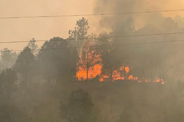 Coahuila emite declaratoria de emergencia por el incendio en Arteaga
