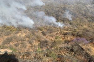 Se reaviva incendio en Fuentes del Pedregal, en Tlalpan #VIDEOS