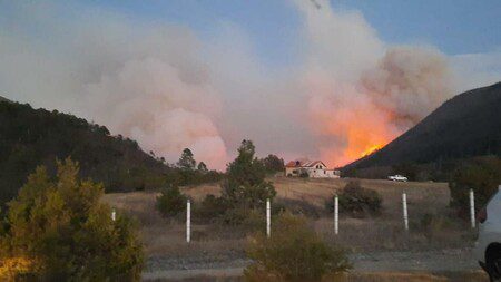 Combaten 30% de incendios en sierras de Arteaga y Santiago: Conafor