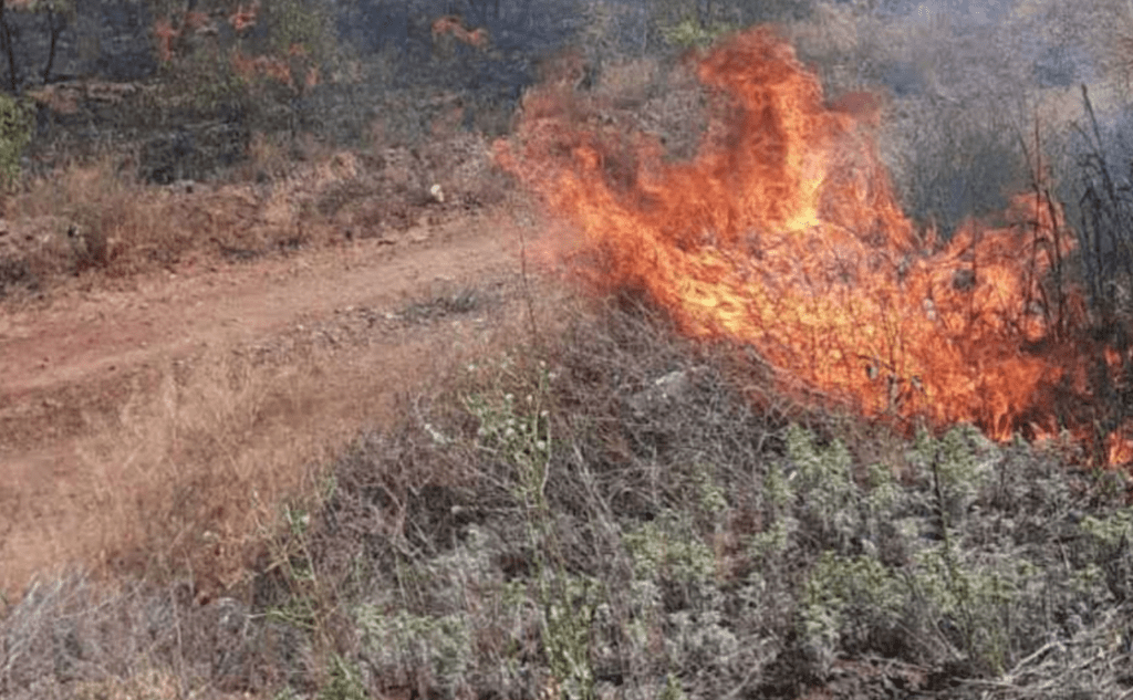 Reporta Conafor 21 incendios forestales activos en 10 estados