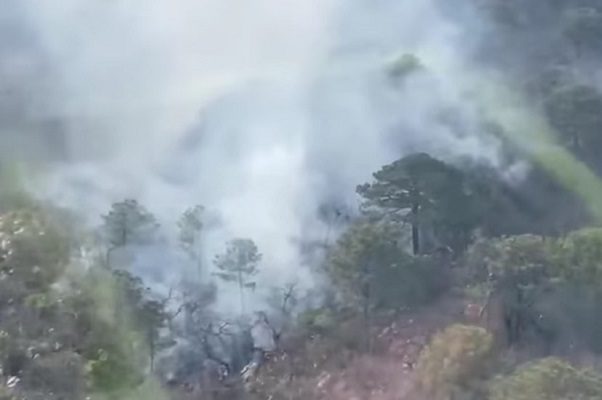 Se registra nuevo incendio forestal en Sierra de Nuevo León #VIDEO