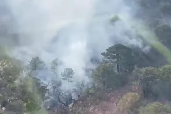 Se registra nuevo incendio forestal en Sierra de Nuevo León #VIDEO