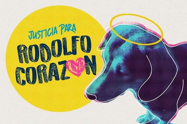Exigen #JusticiaParaRodolfo, perrito asesinado a machetazos en Sinaloa