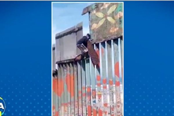 Así fue acompañado por familiares un niño a cruzar la frontera #VIDEO