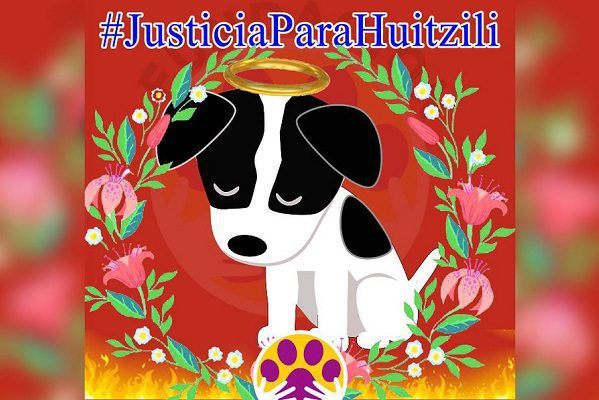 Exigen #JusticiaParaHuitzilli, cachorro quemado vivo "por diversión" en Guanajuato