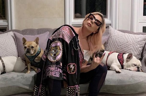 Detienen a cinco por el secuestro de los perros de Lady Gaga