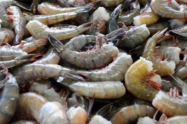 Estados Unidos prohíbe exportar camarón mexicano