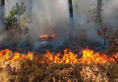 Inician labores para apagar incendio en Veracruz