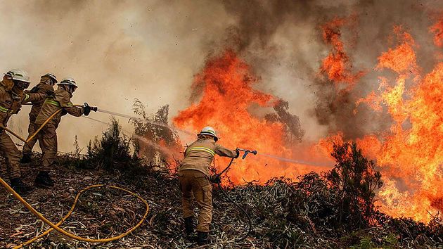 Siguen incendios en NL, combaten 7 forestales y 200 urbanos