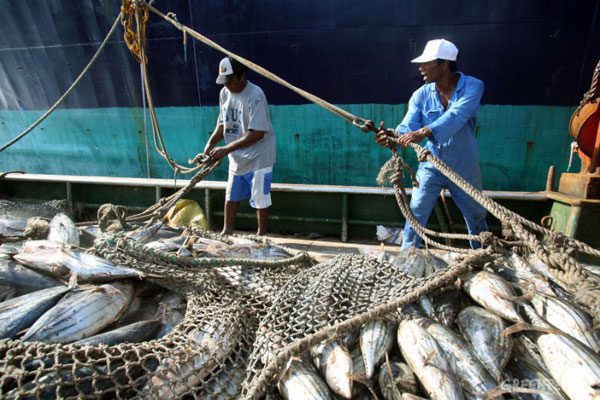 Producción pesquera y acuícola en 2020 fue 4.3% menor que año anterior: Sader