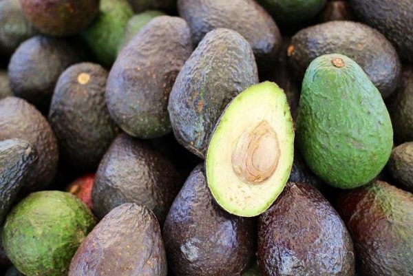 Aguacate llega hasta 80 pesos el kilo en CDMX, revela Profeco