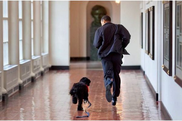 Los Obama se despiden de "Bo", el perrito que los acompaño en la Casa Blanca