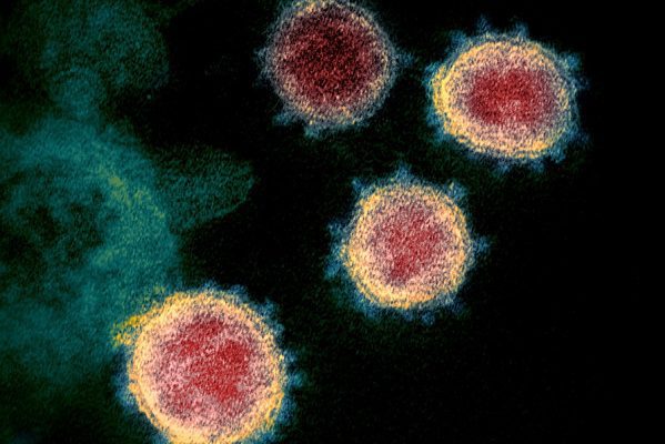 Científicos hallan el "punto débil" del Covid-19, que evita que se multiplique