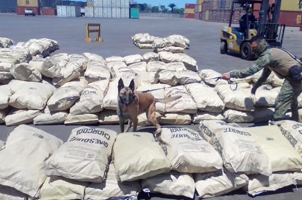 Decomisan más de 711 kilos de droga en puertos de Michoacán y Sonora