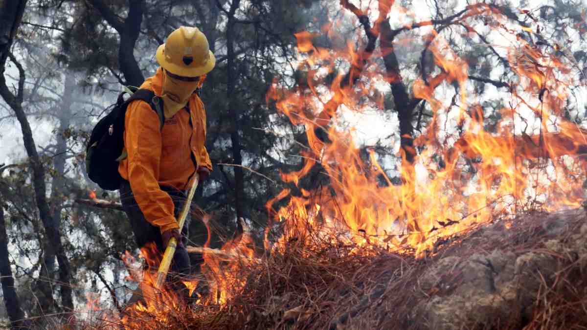 Chihuahua es el estado con más incendios forestales: Conafor