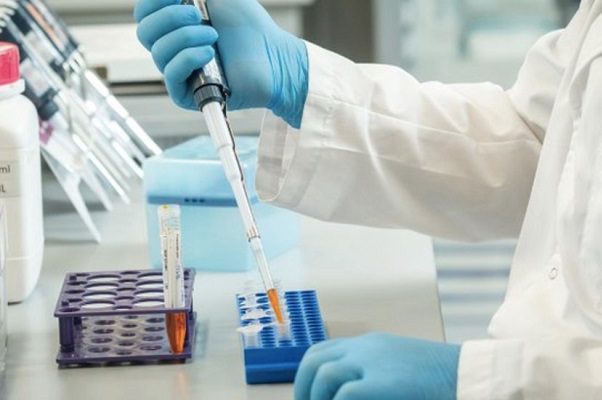 Comité de la Cofepris recomienda suero equino contra Covid-19