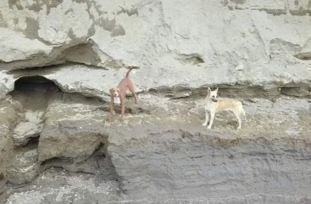 Se planea operativo para rescatar a 'lomitos' atrapados en Socavón de Puebla