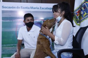 Así regresó a su hogar ‘Spay’, uno de los perritos del socavón de Puebla #VIDEOS