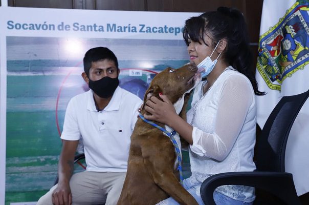 Así regresó a su hogar 'Spay', uno de los perritos del socavón de Puebla #VIDEOS