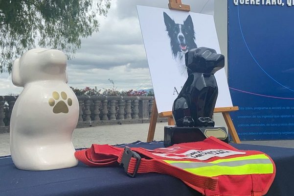 Catean casa de posible relacionado con muerte de Athos y Tango, perritos rescatistas