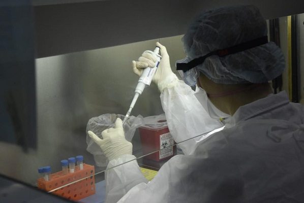 Argentina confirma primer caso de 'hongo negro' en el país