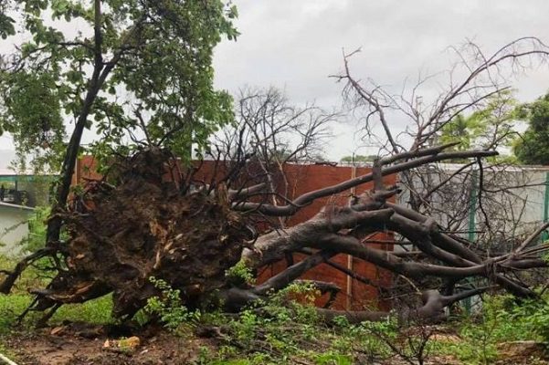 Sedena activa el Plan DN-III en cinco estados por huracán "Enrique"