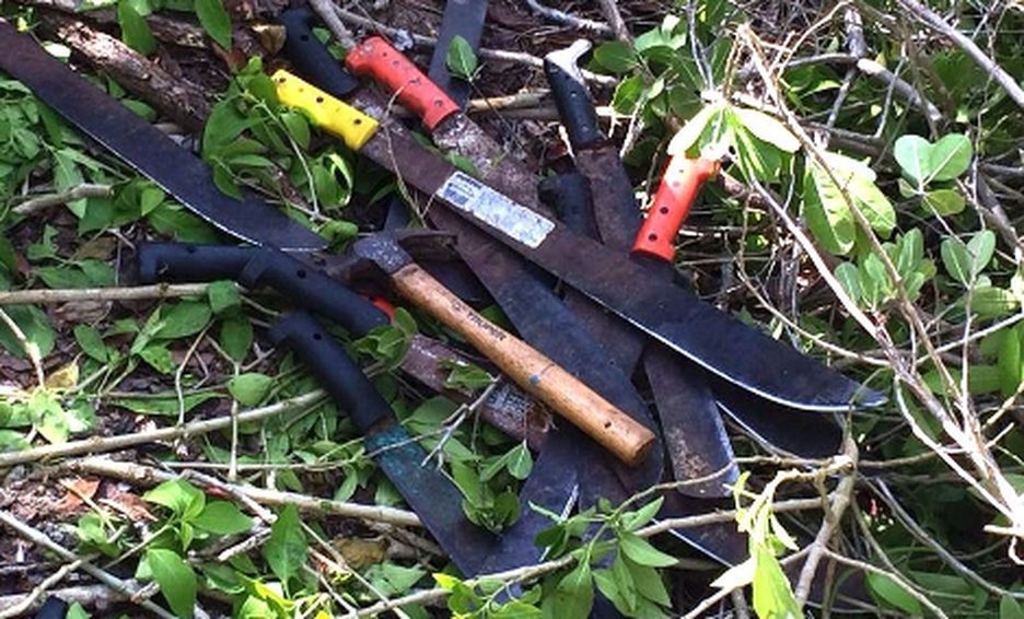 Pareja de ancianos son atacadas por su hijo y nuera en Veracruz