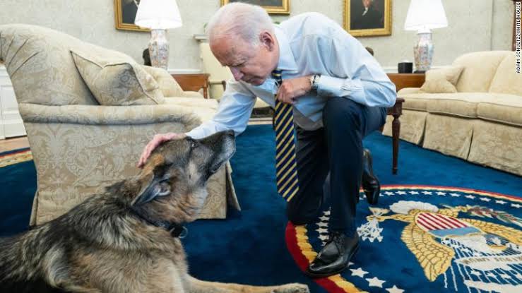 Fallece “Champ” uno de los perritos Biden