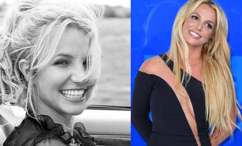 Apoyo público a Britney Spears no es útil en la corte