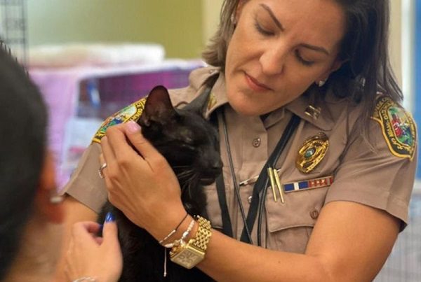 'Binx', el "pequeño milagro" encontrado cerca de los escombros del edificio colapsado de Miami