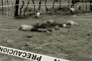 Abandonan los cadáveres de cinco hombres en Tangamandapio, Michoacán