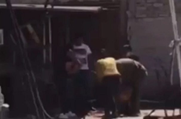 Familia mata a golpes a perrito, en Tlalnepantla #VIDEO (IMÁGENES FUERTES)