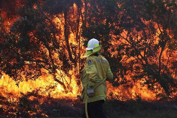 Incendios en Australia afectaron más al clima que aislamiento por Covid-19