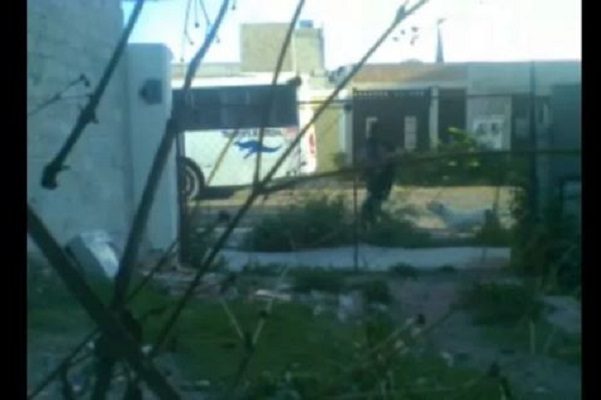 Vecinos denuncian que perro Pitbull ataca a pobladores, en Querétaro #VIDEO